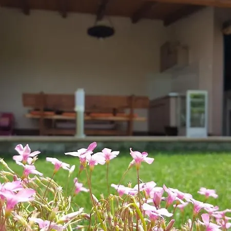 Apartmán Nylo *