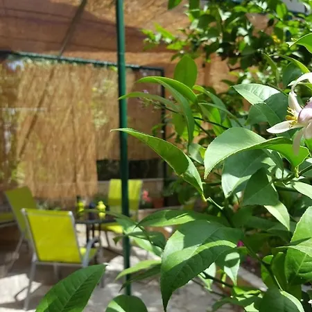 Nylo Apartment Split